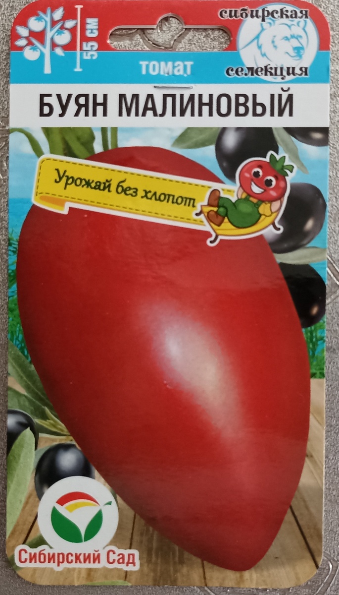 Томат ,, Буян малиновый. ,, Фото автора.