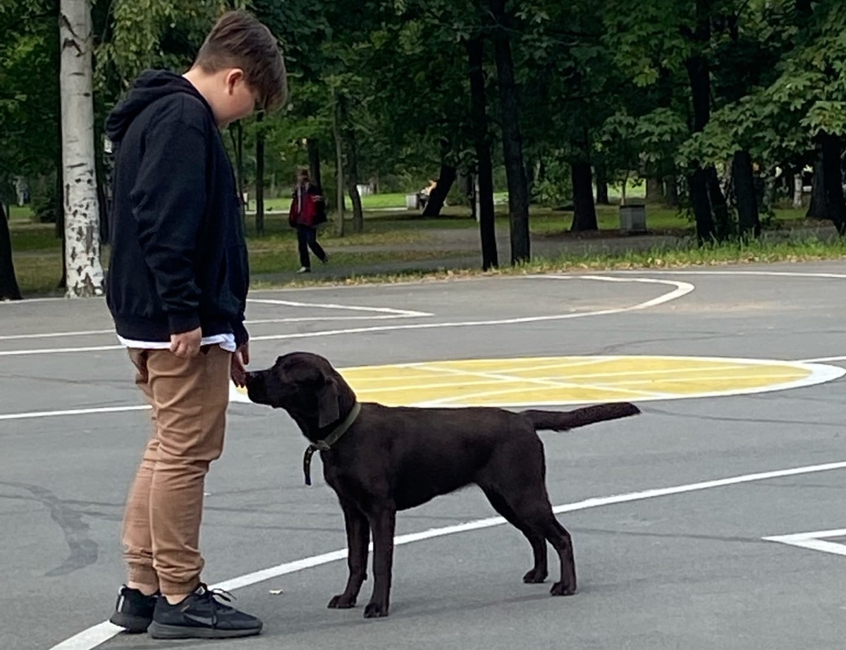    фото: Мария Голубева