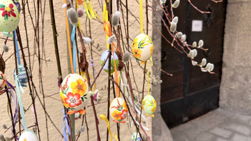    Первый городской канал Калининград