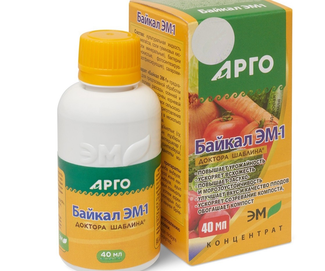 Фото из интернета 