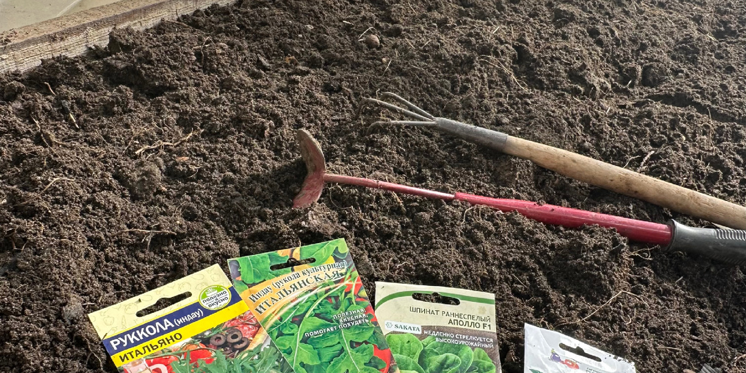 Наконец- то нас ждут первые настоящие теплые весенние выходные! Прогноз обещает солнечное тепло.