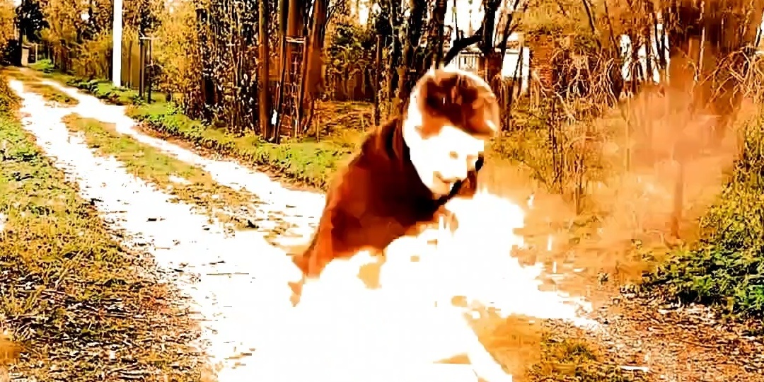 Отшельник. "40 лет в каратэ". Глава 38.