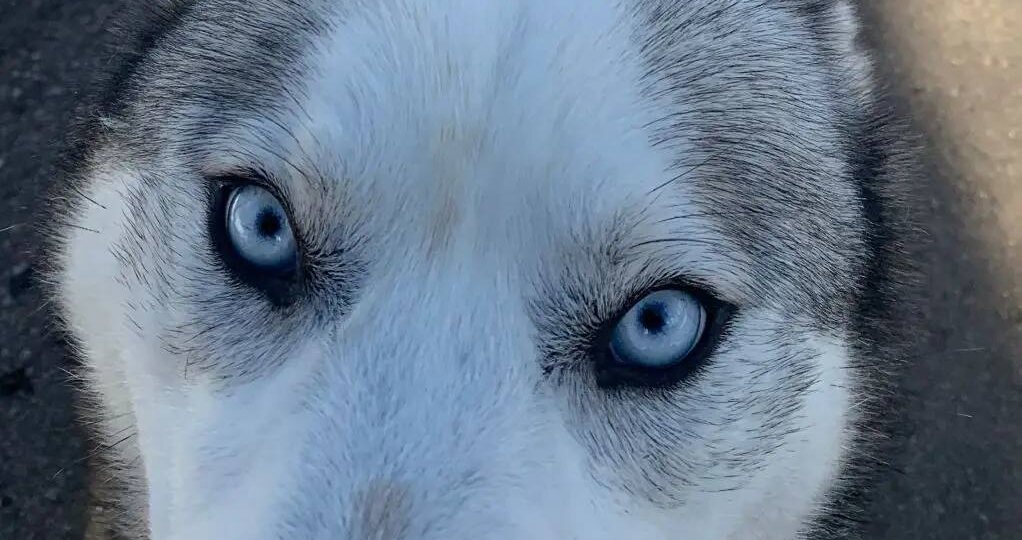 Снег - тернистый путь к счастью💖