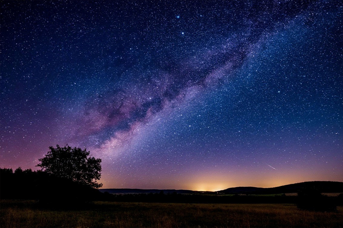    Фото: коллаж RuNews24.ru