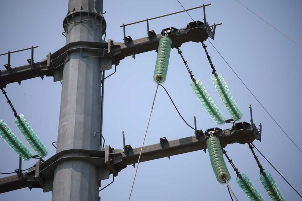    Фото: Правительство РО Редактор