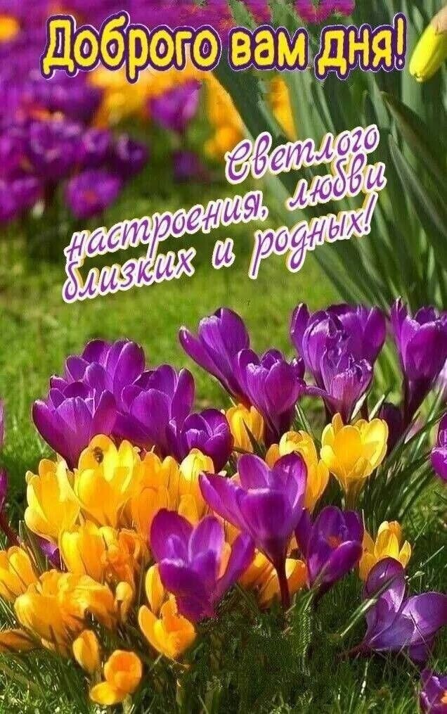 Из интернета для хорошего настроения 💖