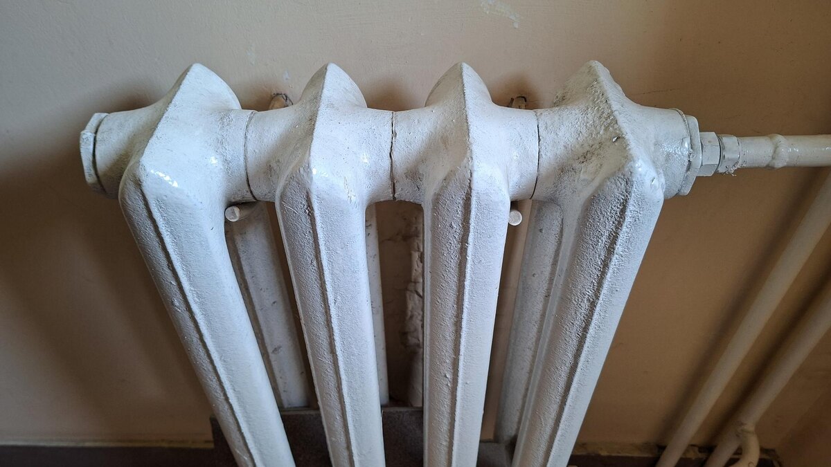 Фото: Svetlana Vozmilova/Global Look Press