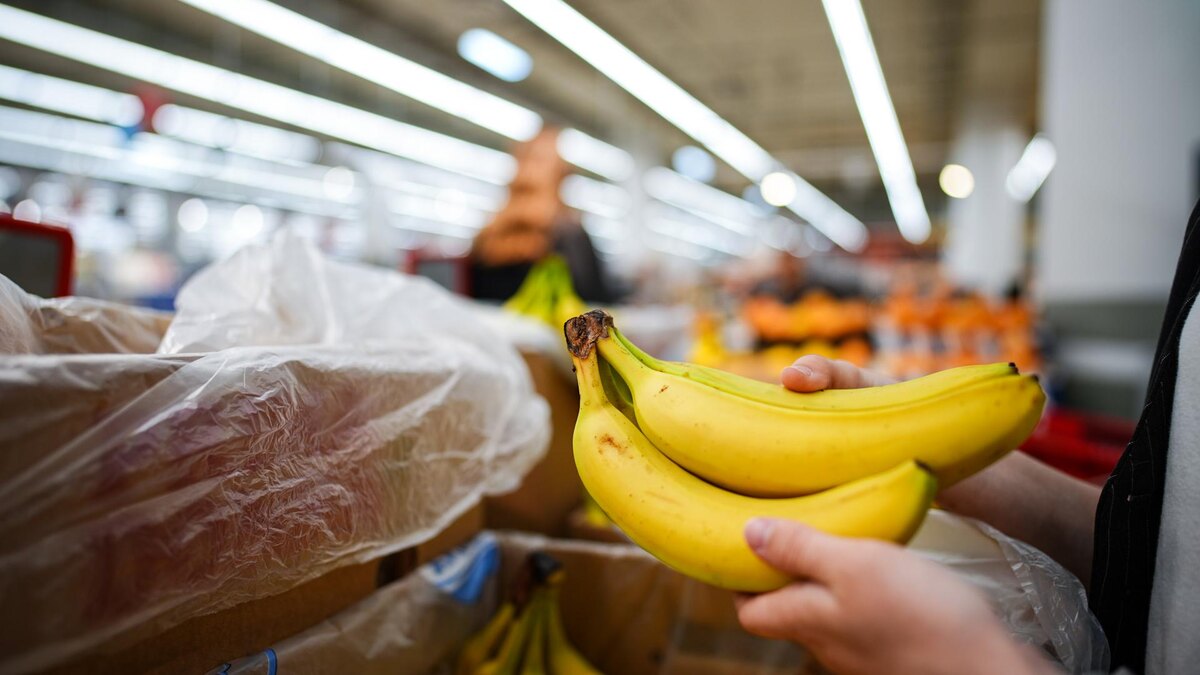 Фото: ИЗВЕСТИЯ/Сергей Лантюхов