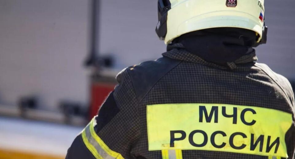    РИА «Новости»