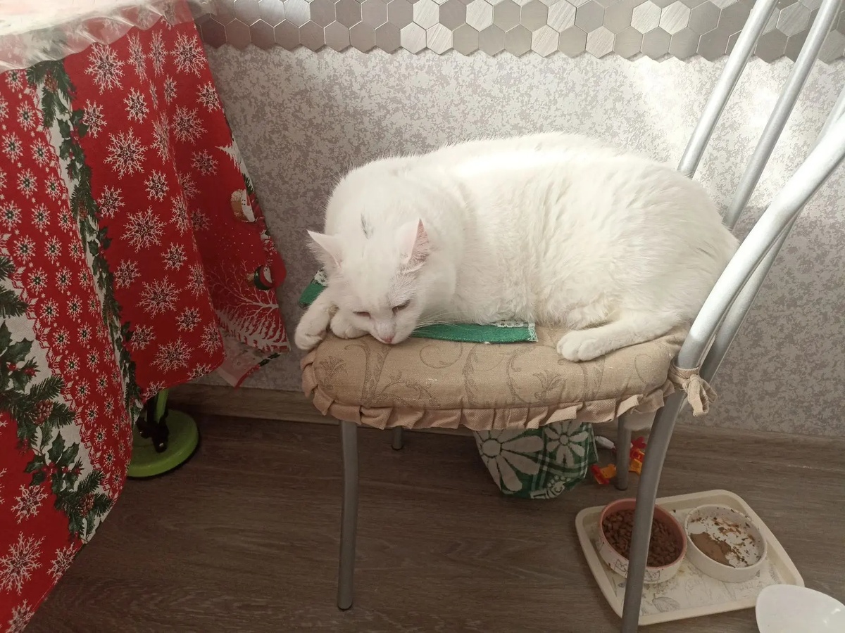 Отлеживается после похода