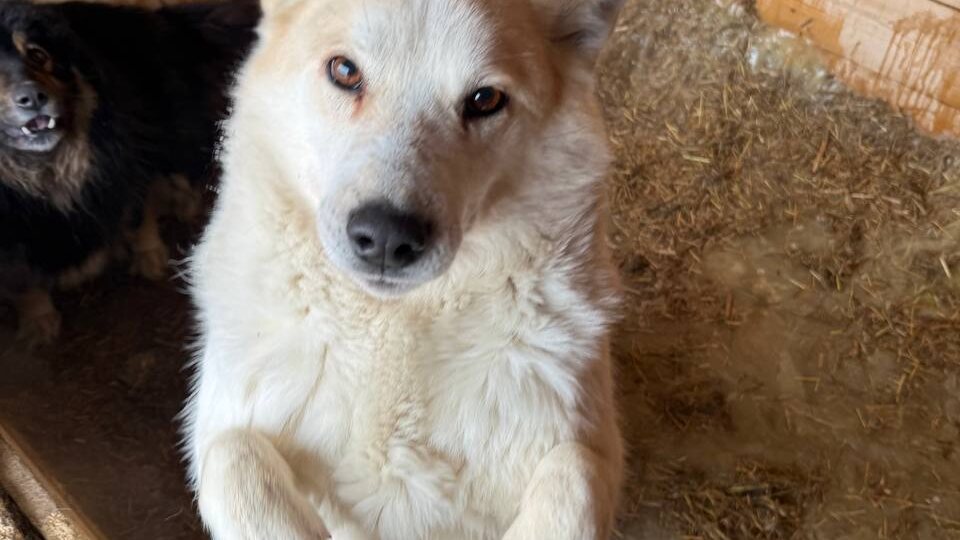 В выходные не до отдыха!