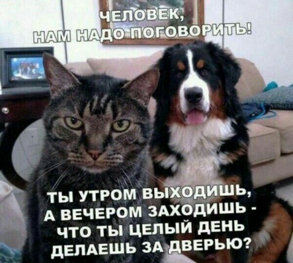 Забавные мемы