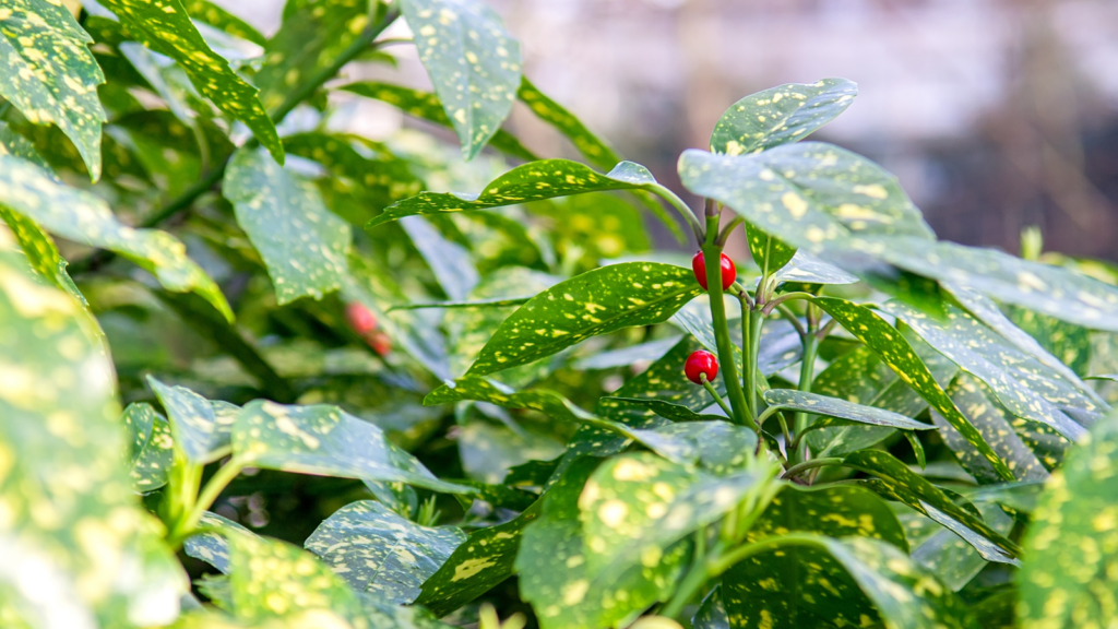    Фото: Shutterstock