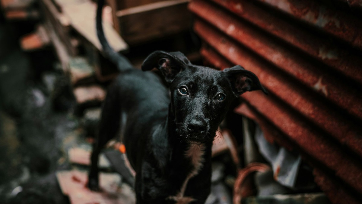    Фото несет иллюстративный характер