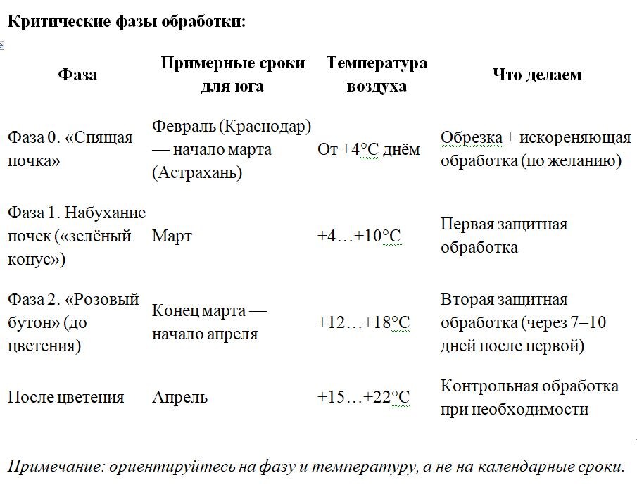 Таблица и фото Натальи Мироновой