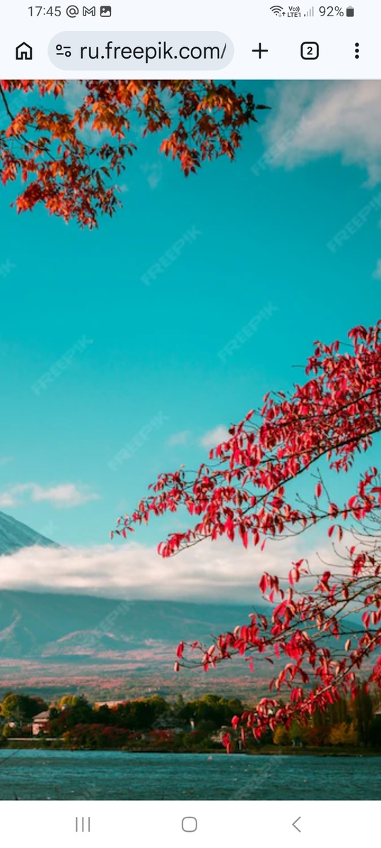 Японская природа