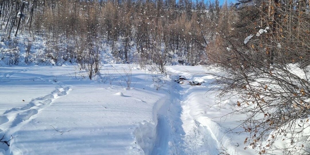 Мужчина и 4-летний сын не дошли 50 метров до избы и насмерть замерзли: подробности