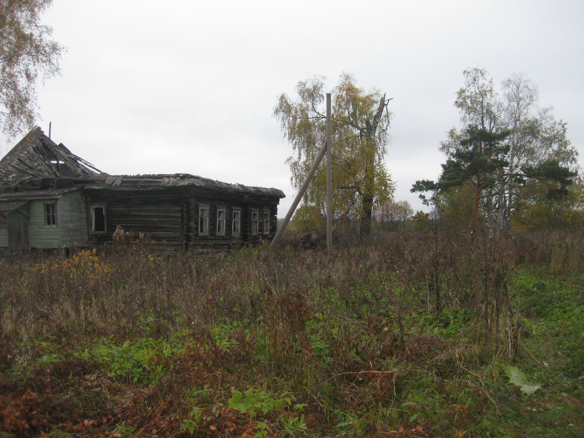 Заброшенные деревни - кормовые стации не только бурого медведя, но и других животных. Фото автора.