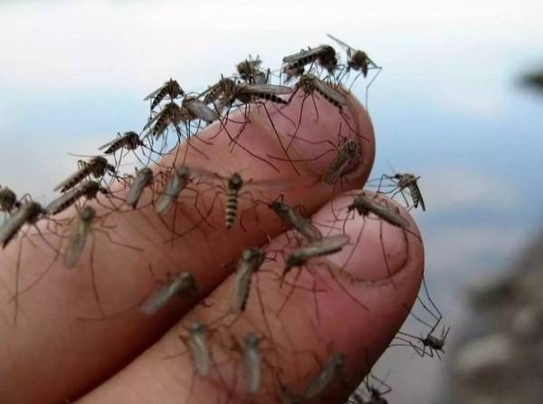     Бу язда черкиләр һөҗүменә әзерләнегез!