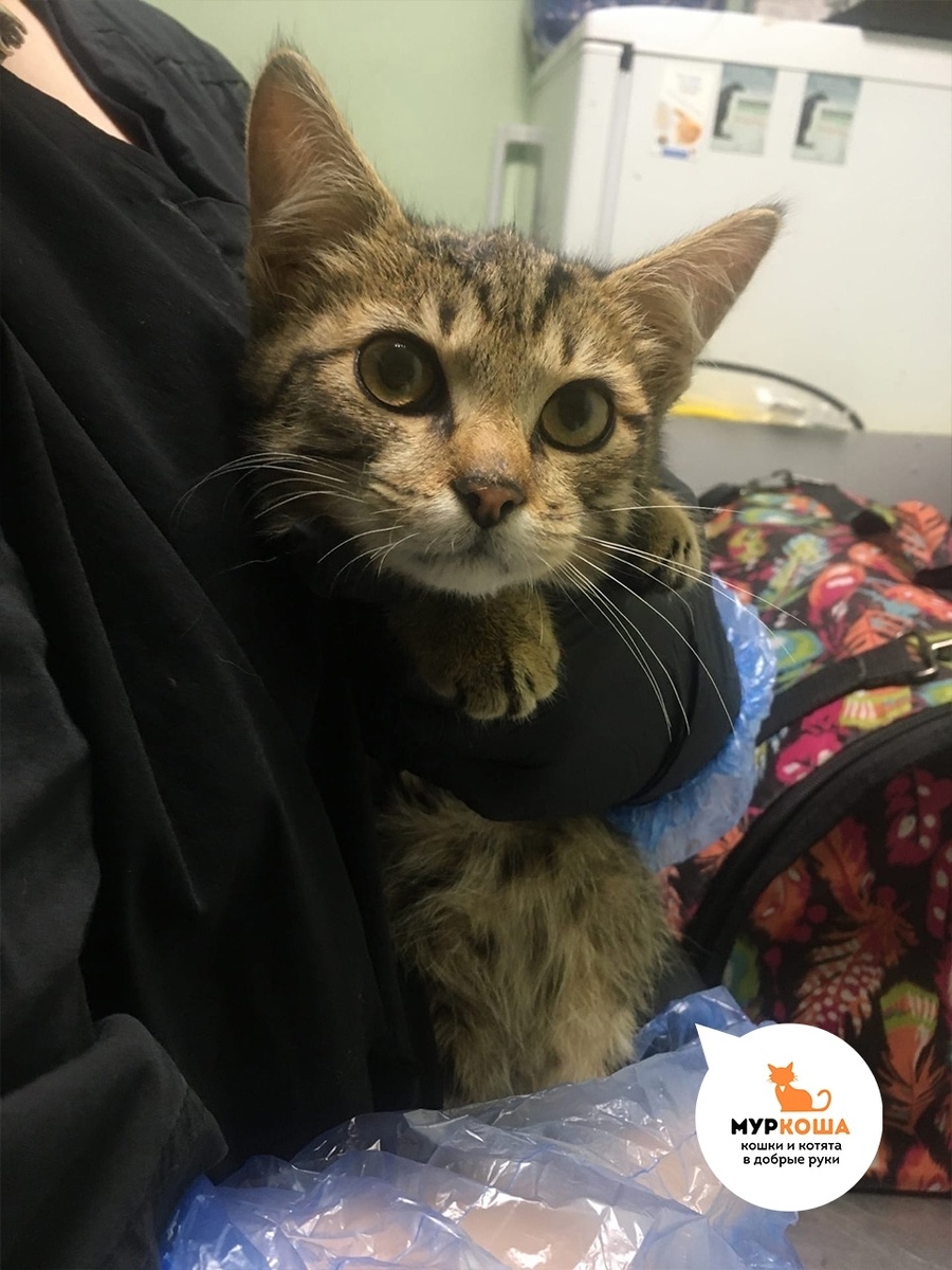 Элтон родился на улице.