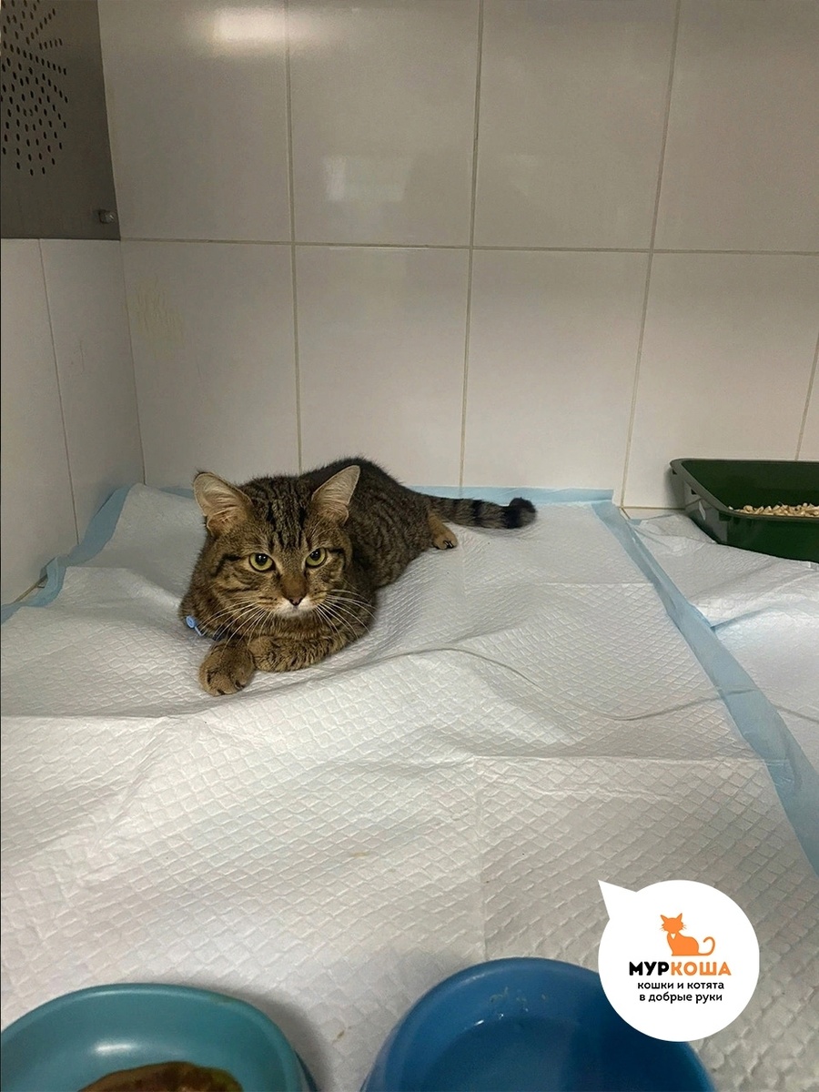 Элтон был обречён бороться за выживание.