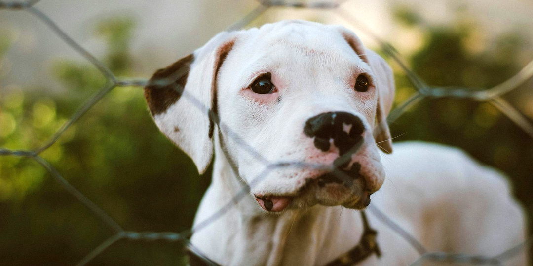 Ни себе, ни людям