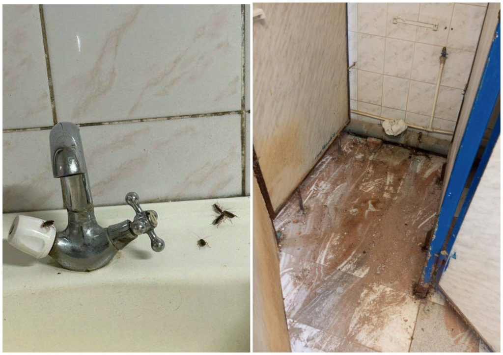    MyCollages - 2026-03-14T083140.368