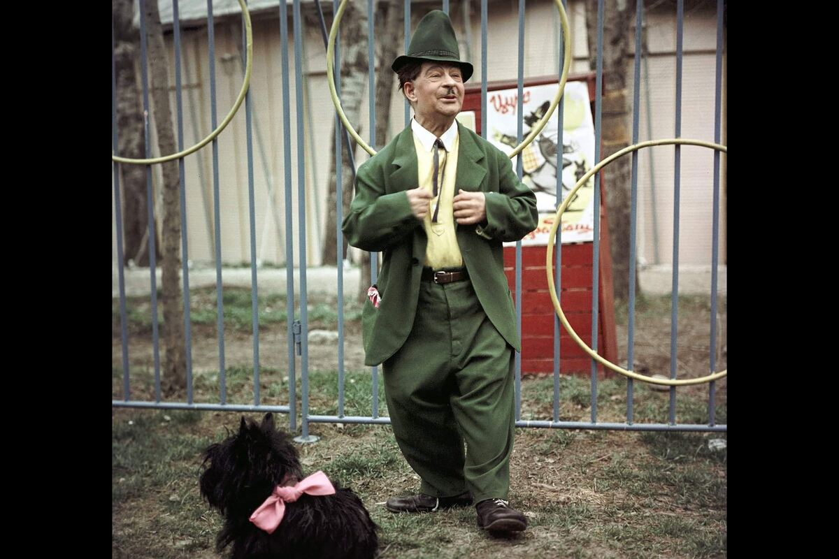 Фото из открытых источников 