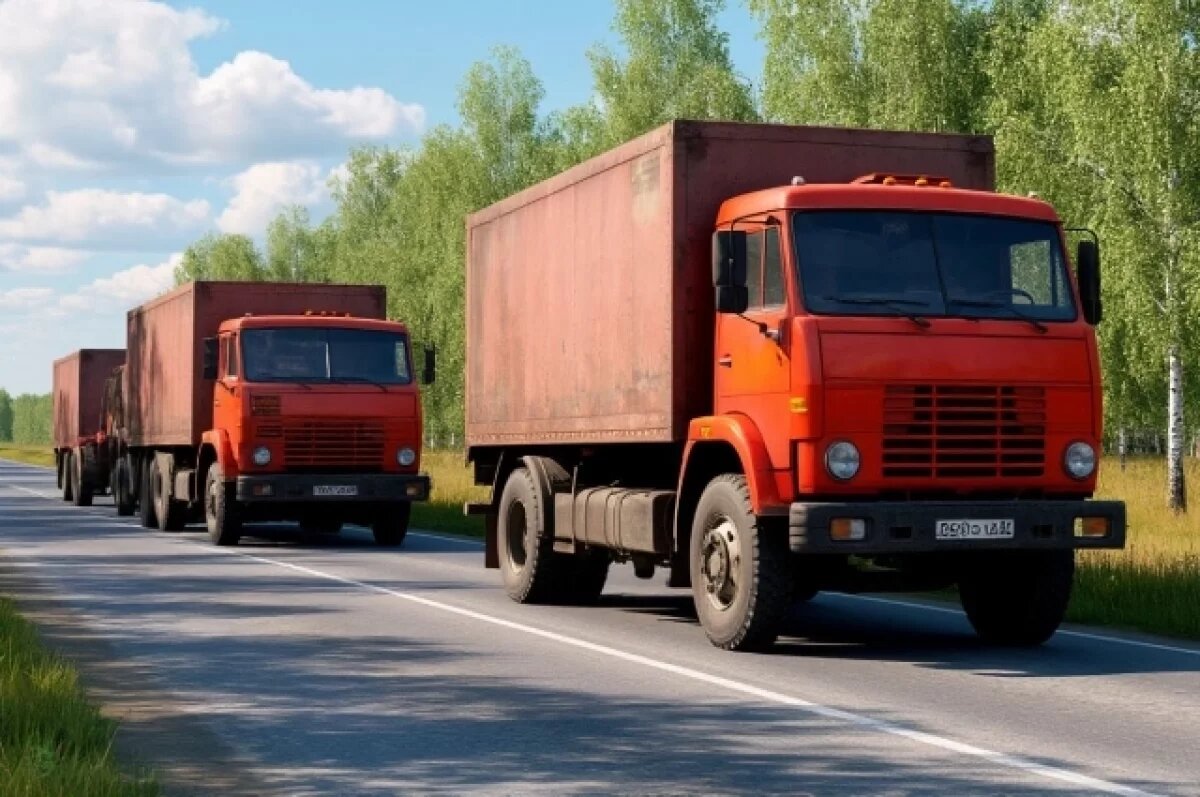    В Ленобласти с 20 марта по 18 апреля ограничат движение грузовиков