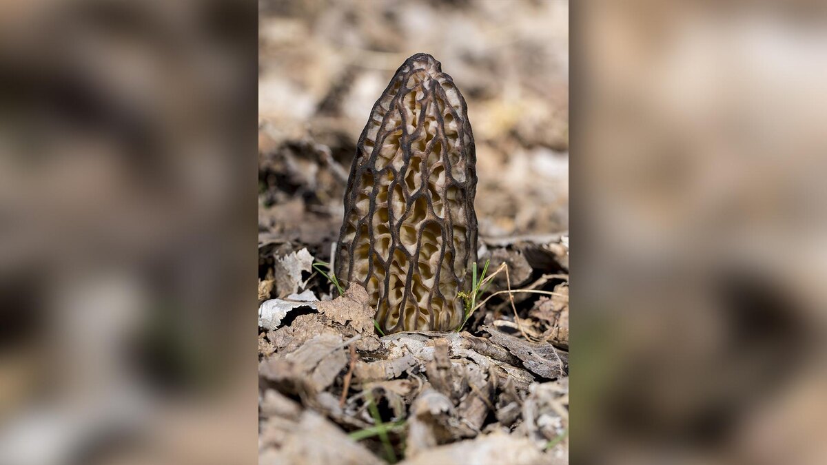    Фото: ru.freepik.com