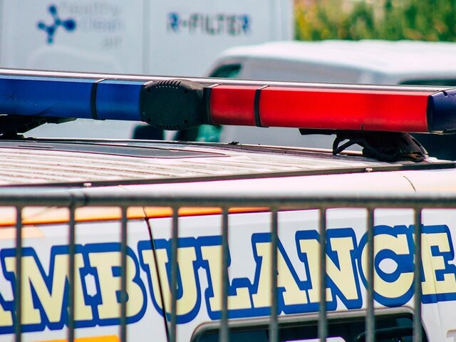    Фото: 123RF.com/joseh51