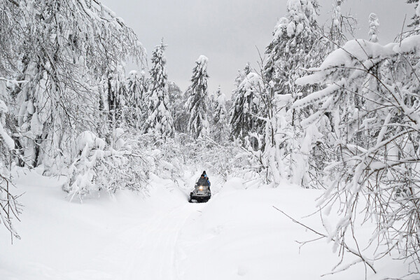 Владимир Астапкович/РИА Новости   📷