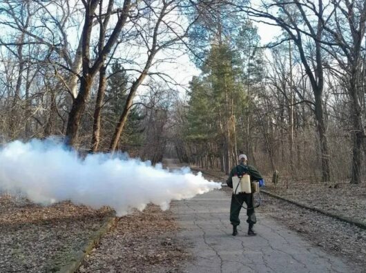    В Ростове началась противоклещевая обработка парков и рощ из-за раннего пробуждения насекомых //Фото пресс-служба Администрации Ростова-на-Дону