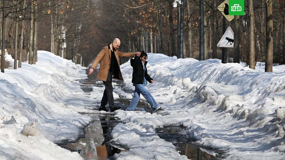    Фото: РИА Новости © 2026, Михаил Воскресенский