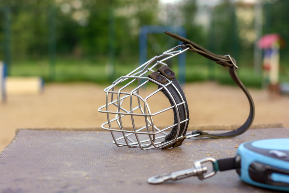    Shutterstock/FOTODOM