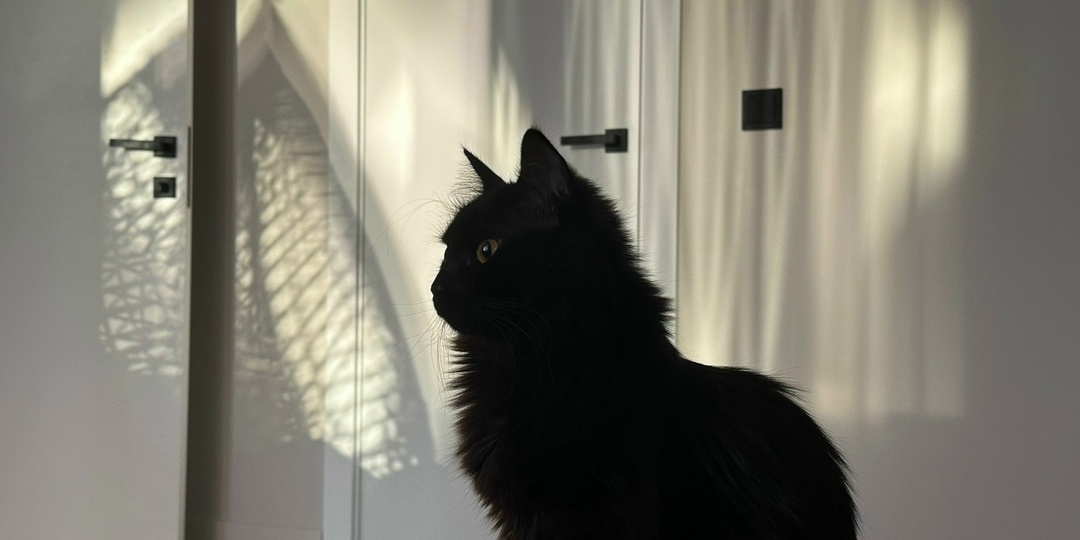 Обособление приложений: практика