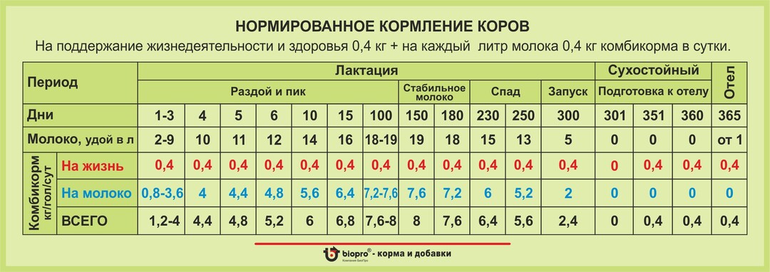 Лактация коров: +25% удоев: рационы