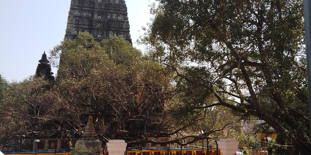 Очищение кармических программ. Предисловие к практике Ваджрасаттвы
