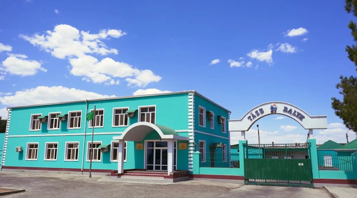    Цветокоррекция оригинального изображения была произведена с использованием ИИ "Ниязов 2.0"