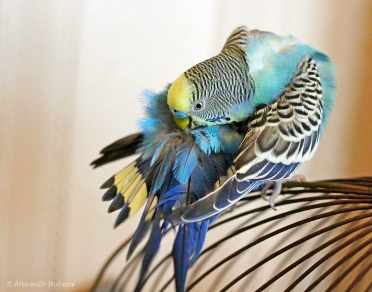 Хозяйка, что-то мне не нравится, помоги разобраться!