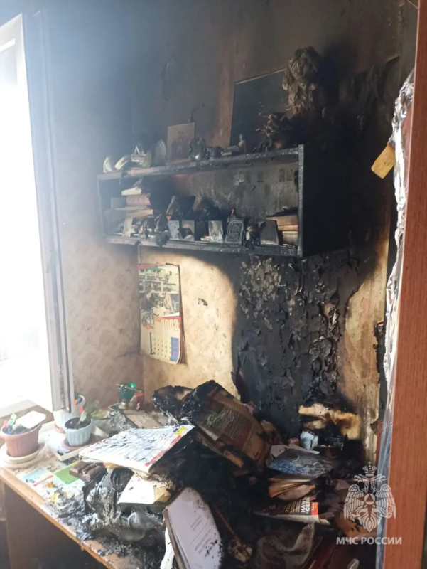     © фото - пресс-служба ГУ МЯС РФ по Курской области