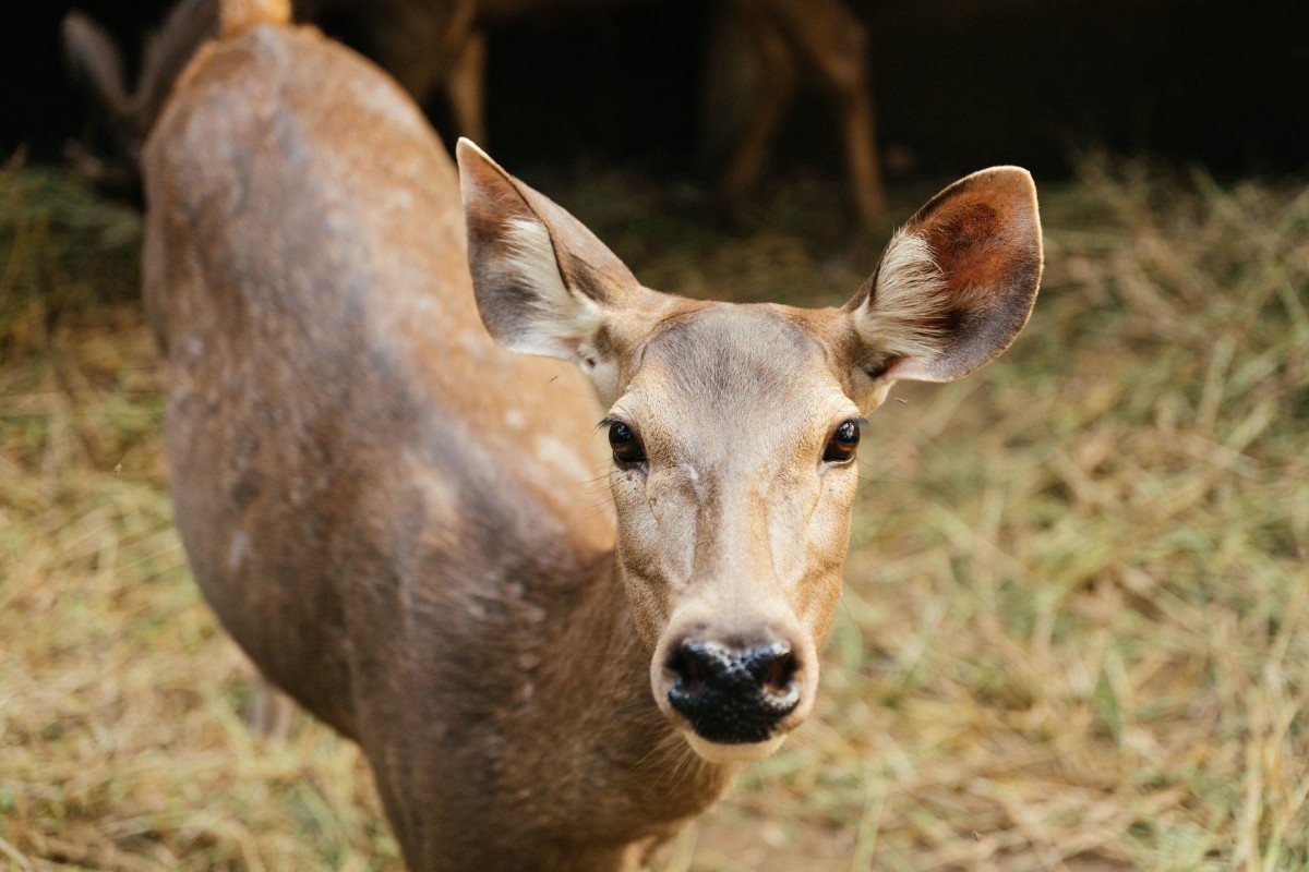    Фото: wirestock / Freepik.com