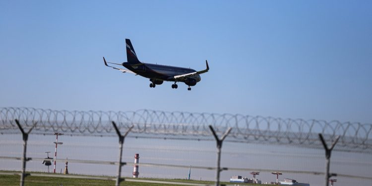    Илья Тушев / Вести Подмосковья