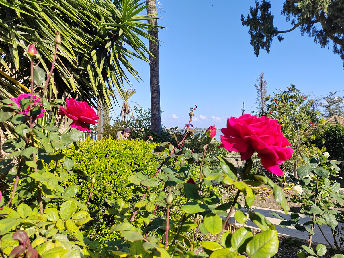 Мечеть Хала Султан Текке (Hala Sultan Tekessi). Остров Кипр. Фото Бекмурзаевой С. 2026 г.