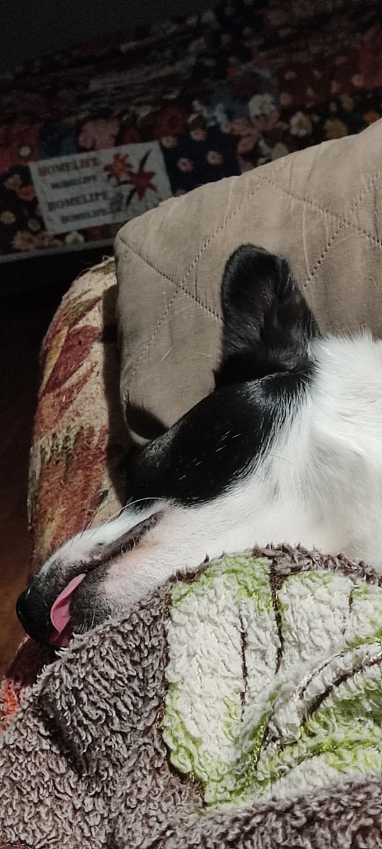 Вроде того)