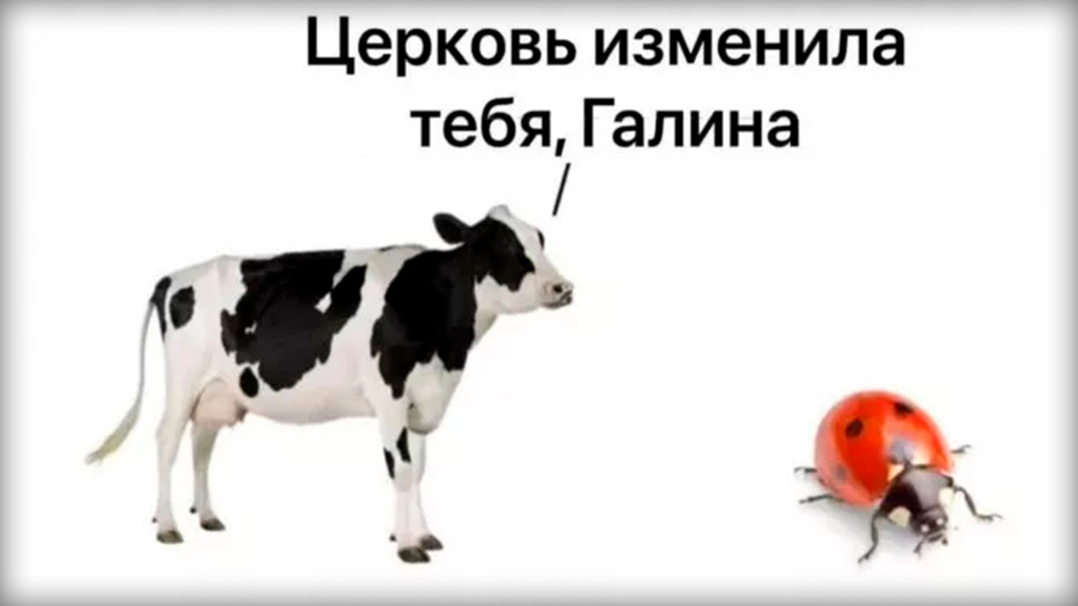 Фото с просторов интернета