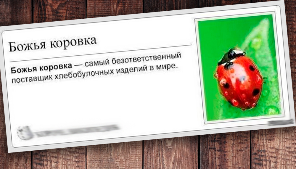 Фото с просторов интернета