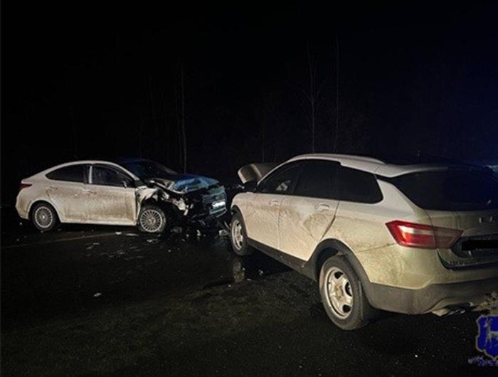    ФОТО: ГУ МВД по Самарской области