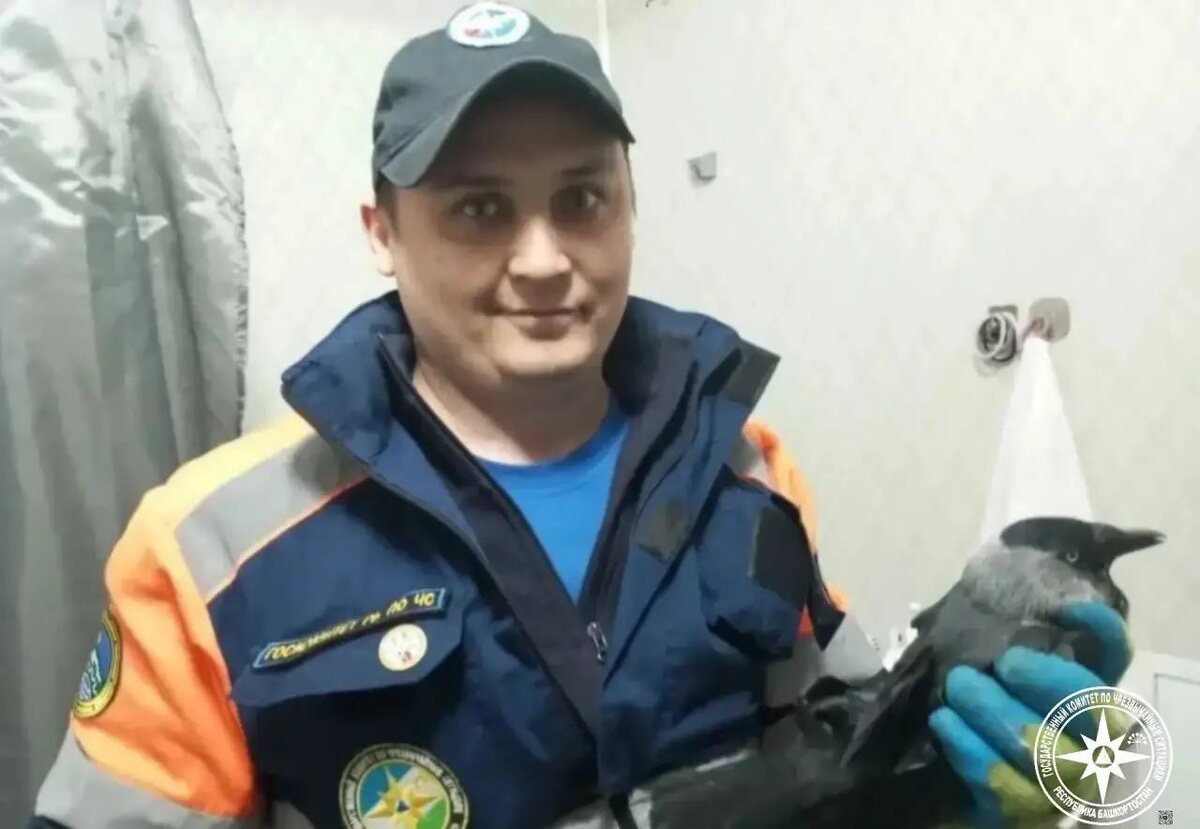    Птица застряла в вентиляционной шахте в жилом доме в Башкирии