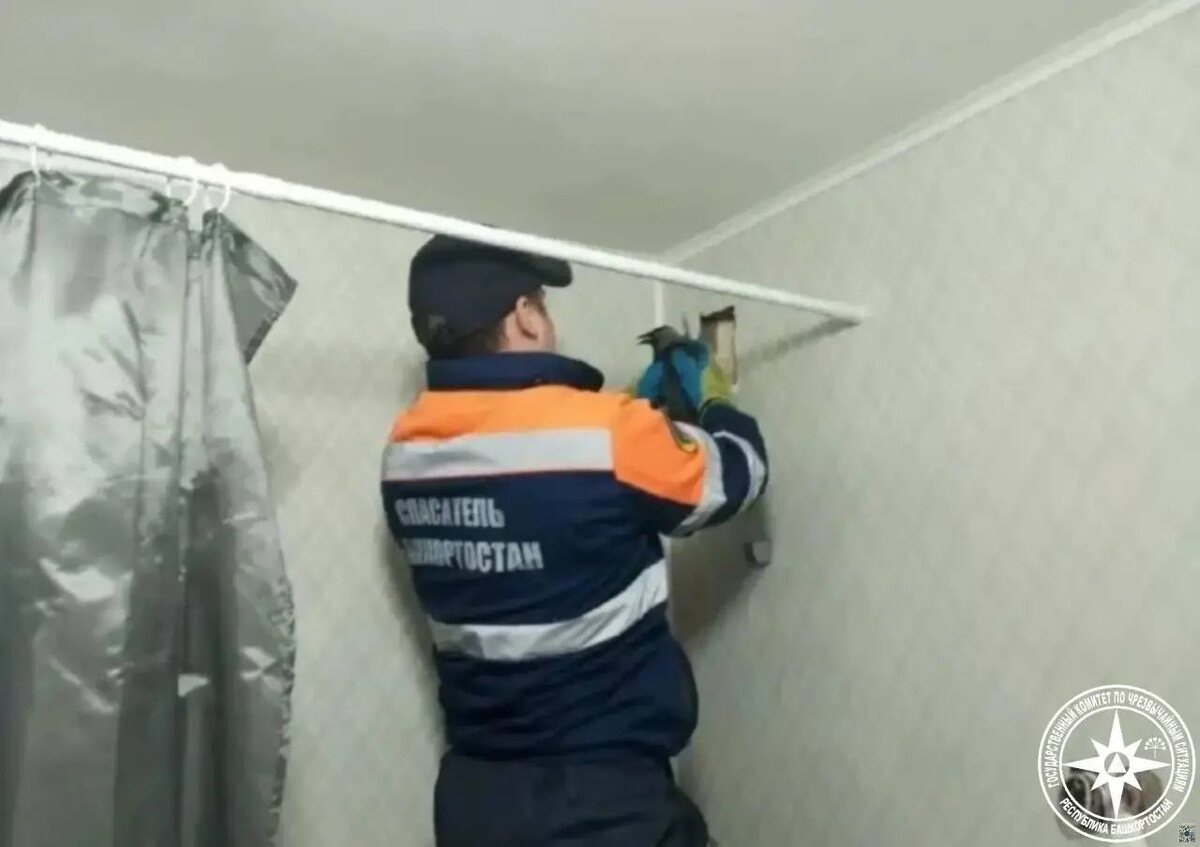    Птица застряла в вентиляционной шахте в жилом доме в Башкирии